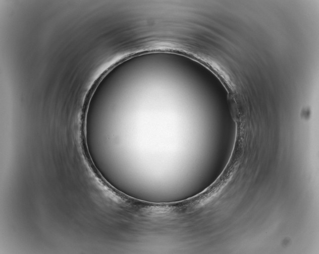 X0000099411134200805161014