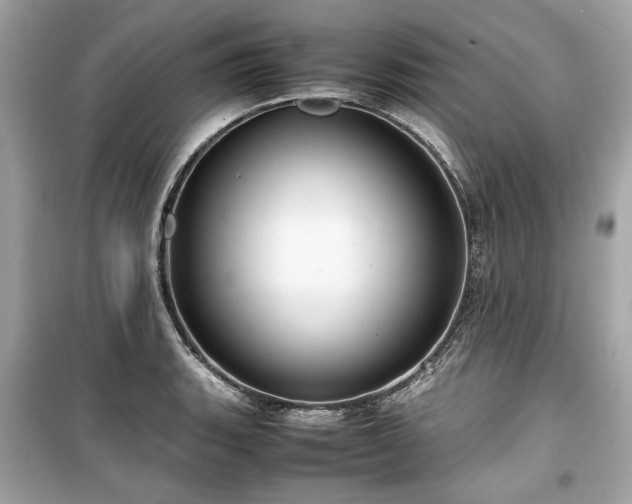 X0000099411135200805161014