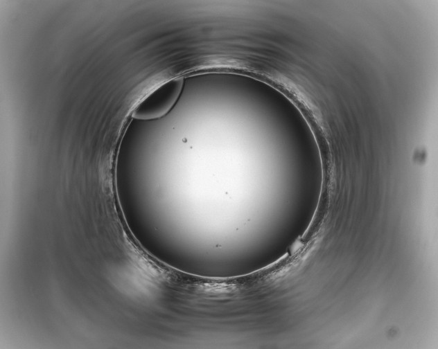 X0000099411137200805161014