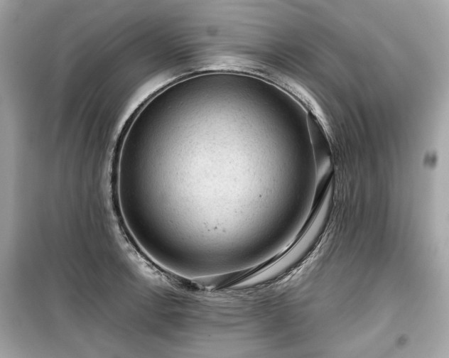 X0000099411138200805161014