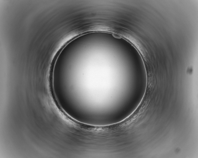 X0000099411139200805161014