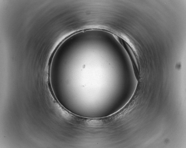 X0000099411140200805161014