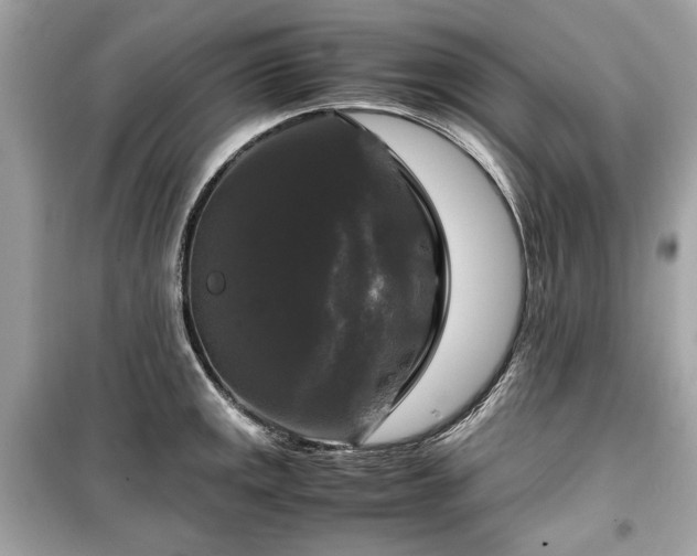 X0000099411141200805161014
