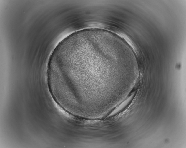 X0000099411143200805161014