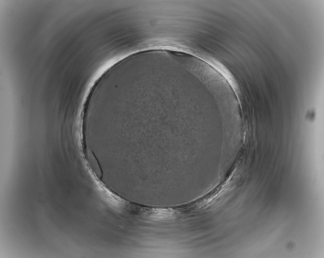 X0000099411144200805161015
