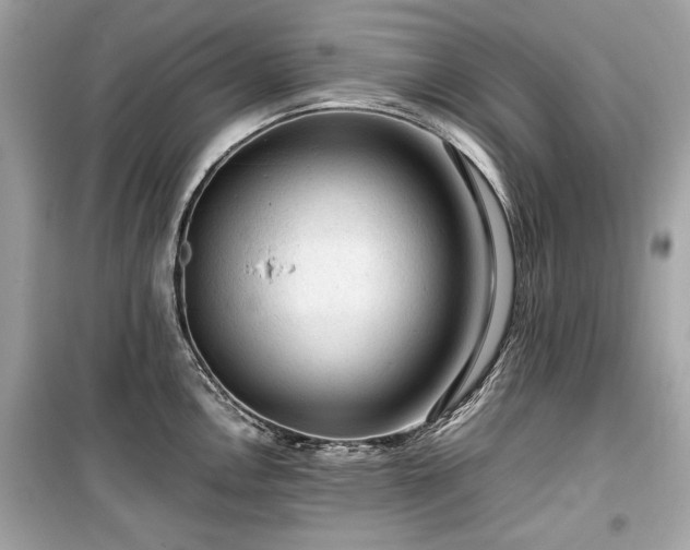 X0000099411146200805161015