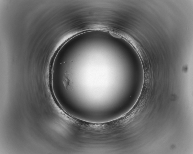 X0000099411147200805161015
