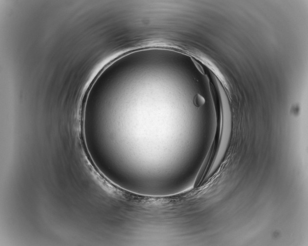 X0000099411148200805161015