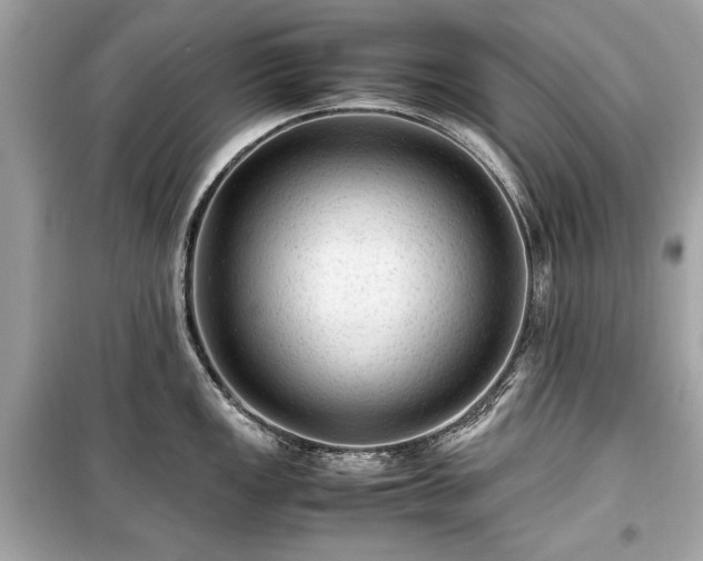 X0000099411149200805161015