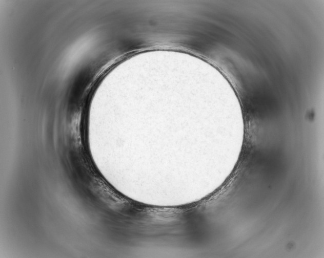X0000099411150200805161015