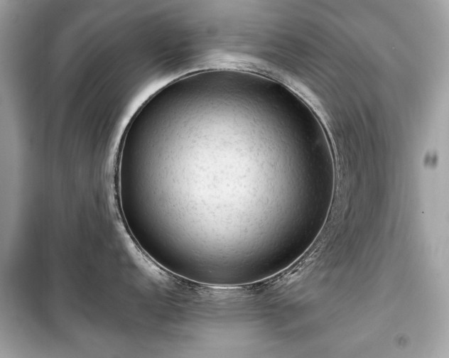 X0000099411152200805161015