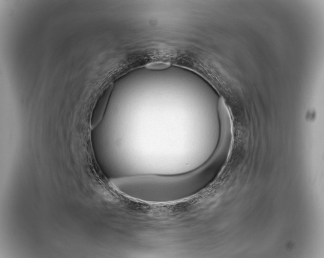 X0000099411153200805161014