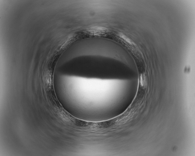 X0000099411155200805161014