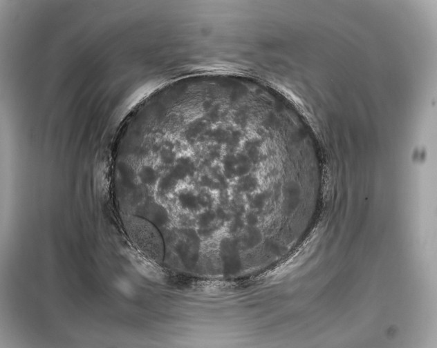X0000099411163200805161014