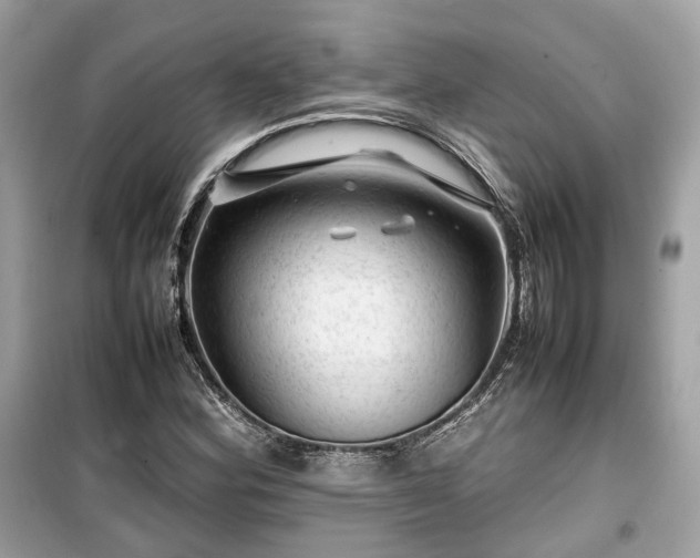 X0000099411164200805161014