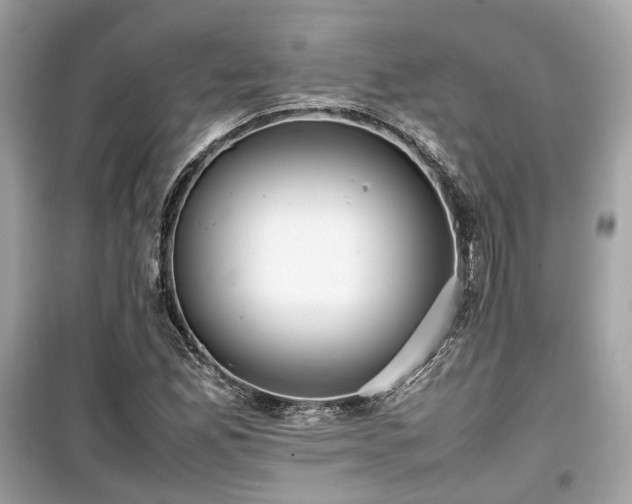 X0000099411165200805161014