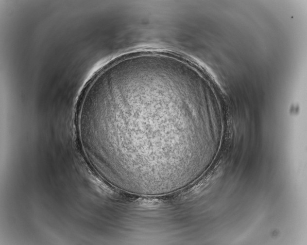 X0000099411168200805161014