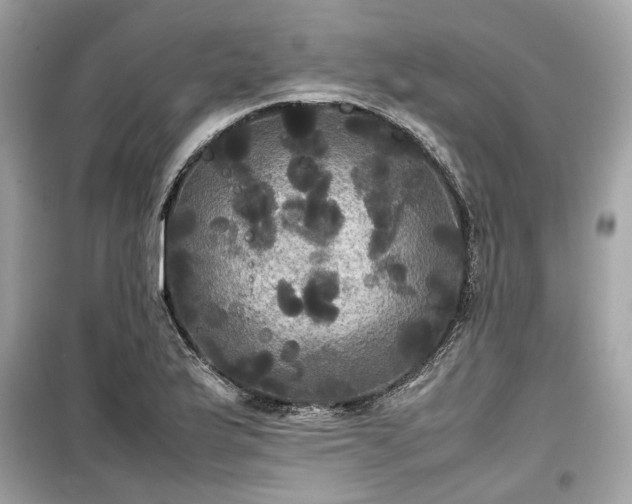 X0000099411175200805161013
