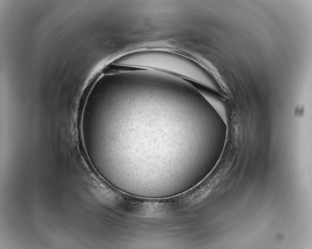X0000099411176200805161013