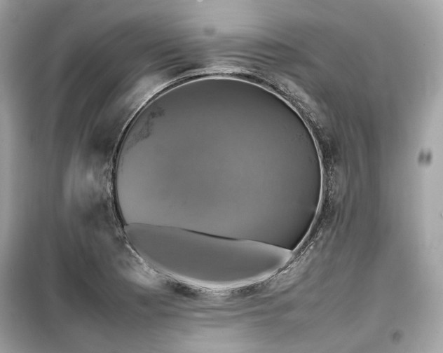 X0000099411177200805161013