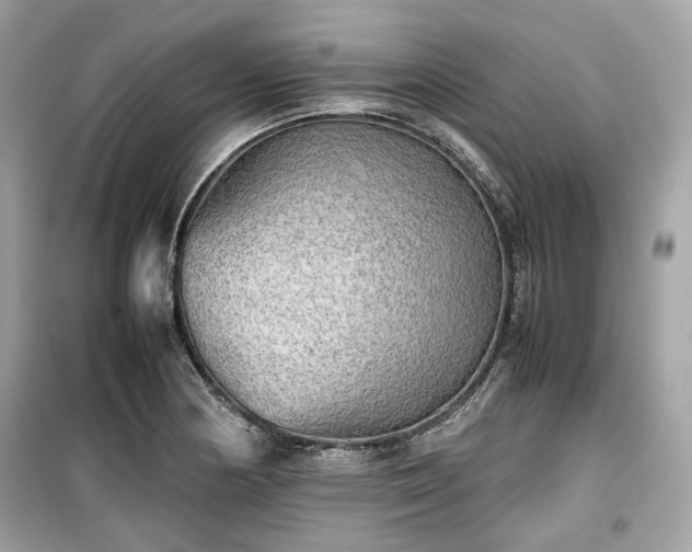 X0000099411178200805161013