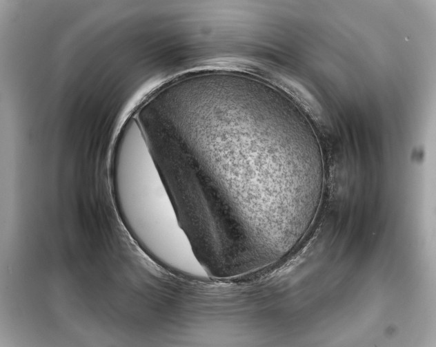 X0000099411180200805161013