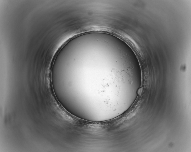 X0000099411182200805161013