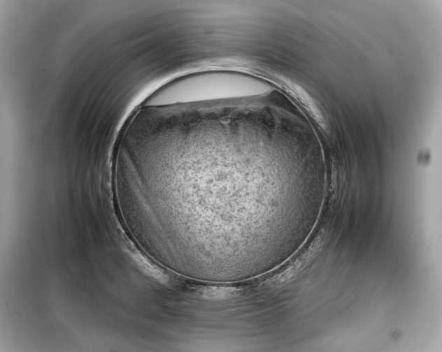 X0000099411184200805161013