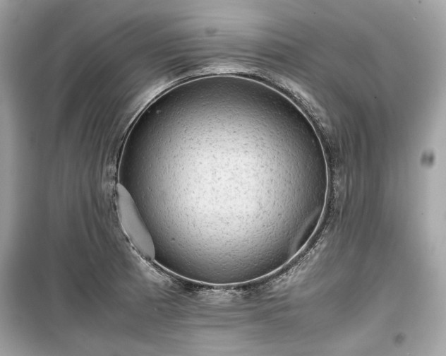 X0000099411185200805161013