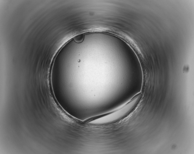 X0000099411186200805161013