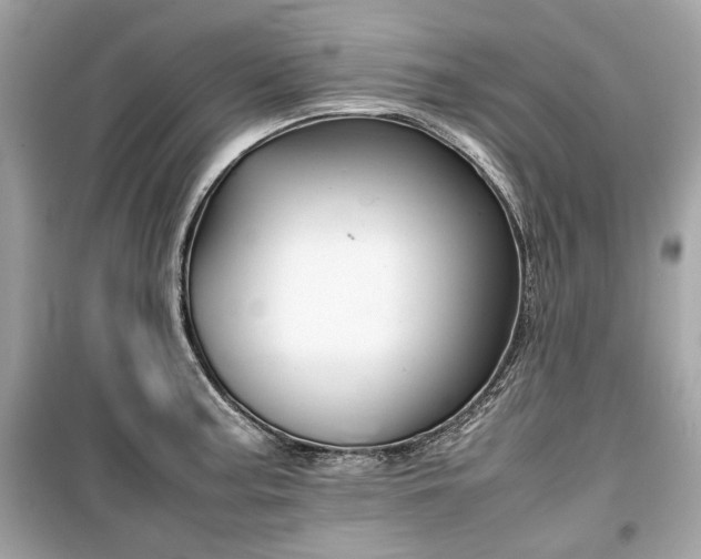 X0000099411187200805161013