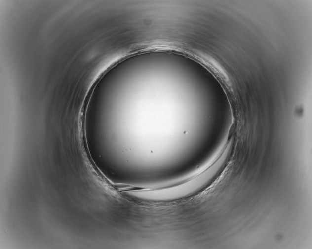 X0000099411190200805161013