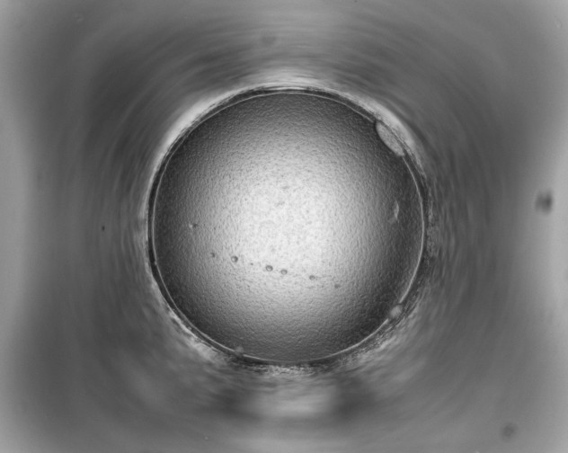 X0000099411191200805161013