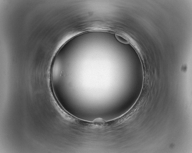 X0000099411195200805161013