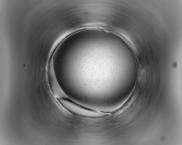 X0000099411196200805161013