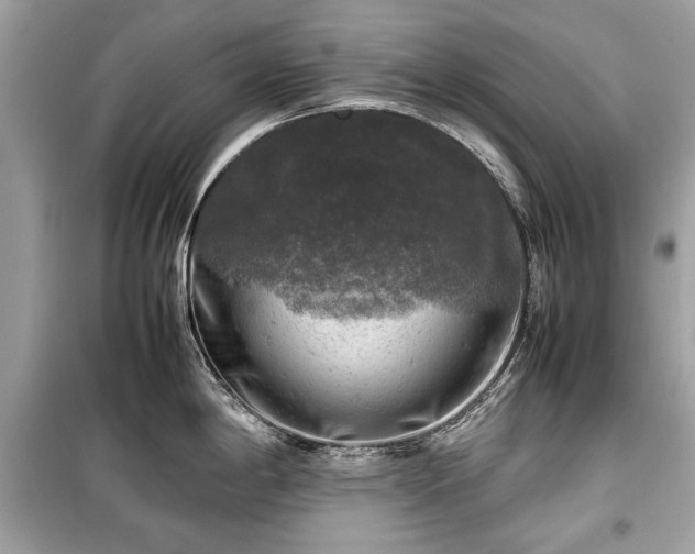 X0000099411198200805161013