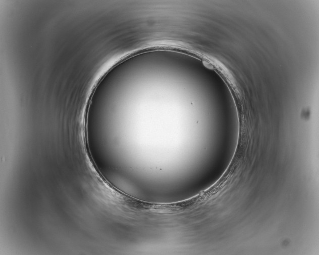 X0000099411199200805161013