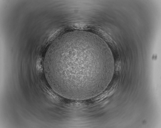 X0000099411202200805161012