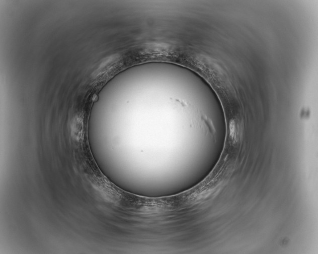 X0000099411203200805161012