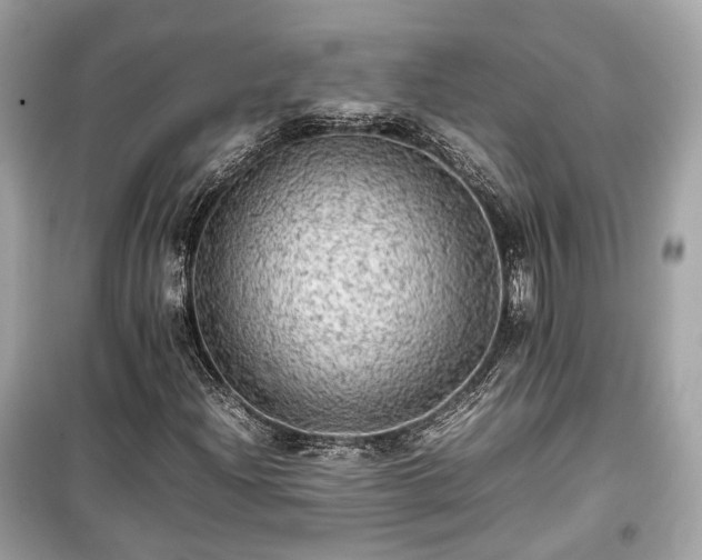 X0000099411204200805161012