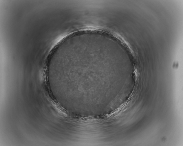 X0000099411208200805161012