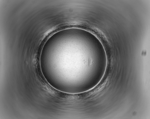 X0000099411210200805161012