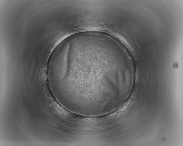X0000099411212200805161012