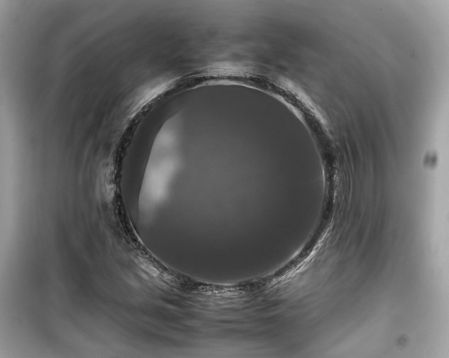 X0000099411213200805161012