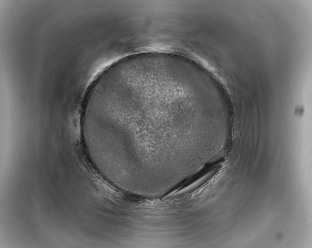 X0000099411214200805161012