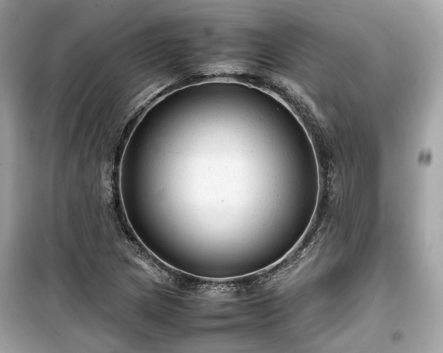 X0000099411217200805161012