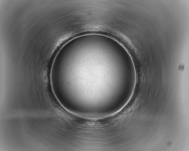X0000099411218200805161012