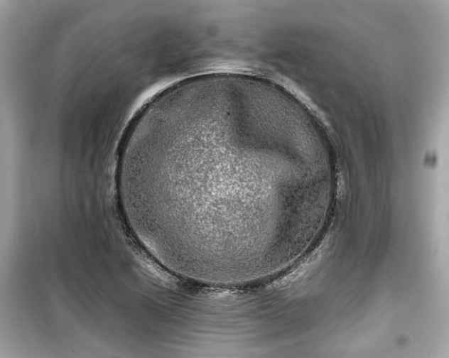 X0000099411222200805161013