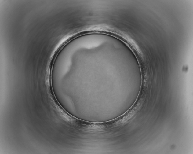 X0000099411224200805161013
