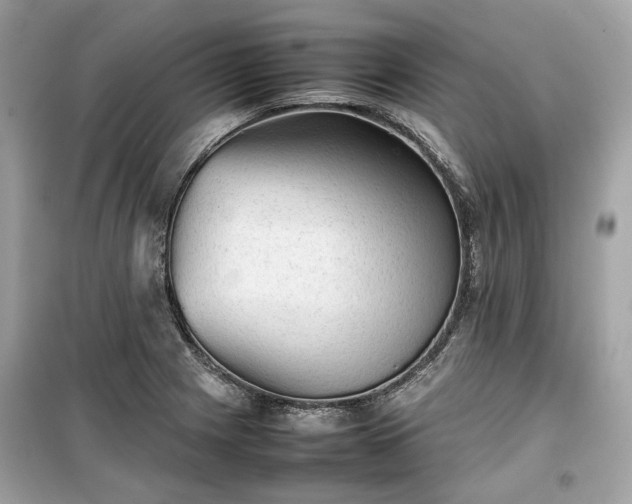 X0000099411225200805161013